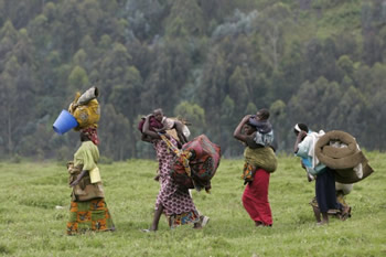 Congo refugees.