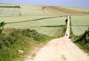 Pilgrims on the Way of St. James.