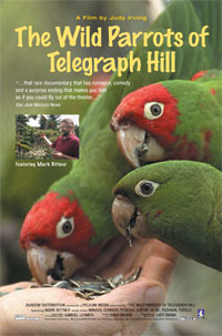 The Wild Parrots of Telegraph Hill (2003)