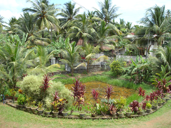 Kerala, India.