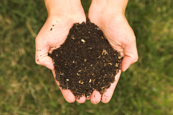 Hands cupping soil.